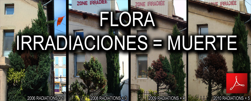 Las_irradiaciones_por_microondas_de_las_antenas_enlace_de_telefoni_movil_EBTM_y_del_WIFI_enferman_a_los_arboles_20_11_2010